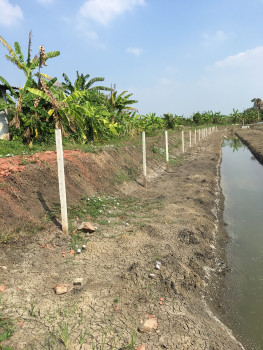 For SaleLandNakhon Pathom : Land for sale, Ban Don Khanak, Soi 5, Nakhon Pathom, 5-0-0 Rai, near Christian University